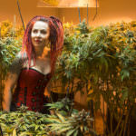 The Grow Room with Lights on.